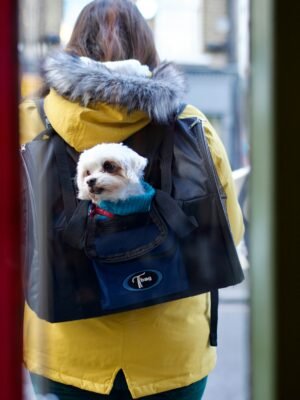 ollie-tulett-T-TmKIWUGdI-unsplash Pet bag